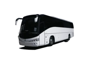 Bus 25